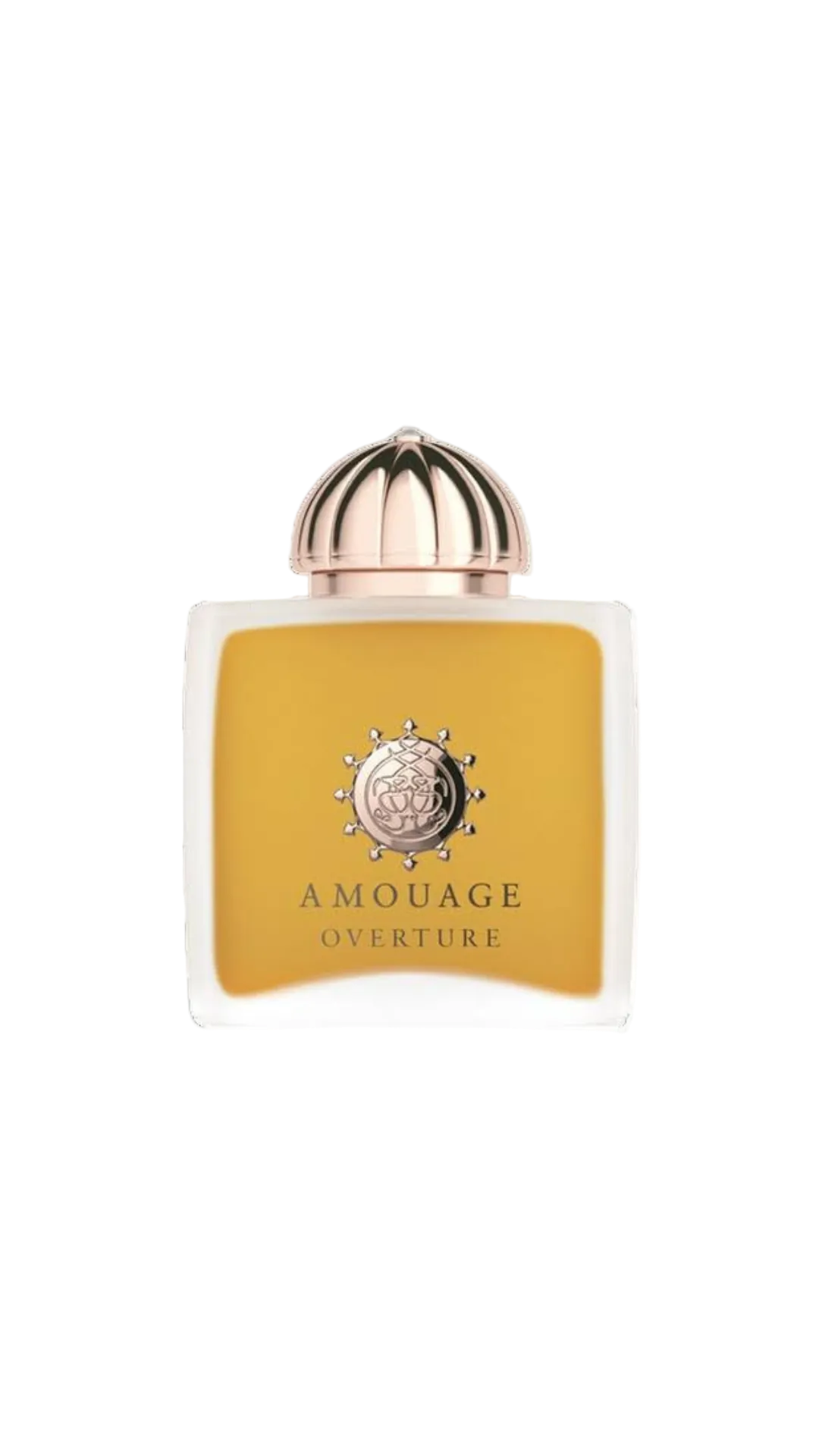 Amouage Overture Mujer EDP