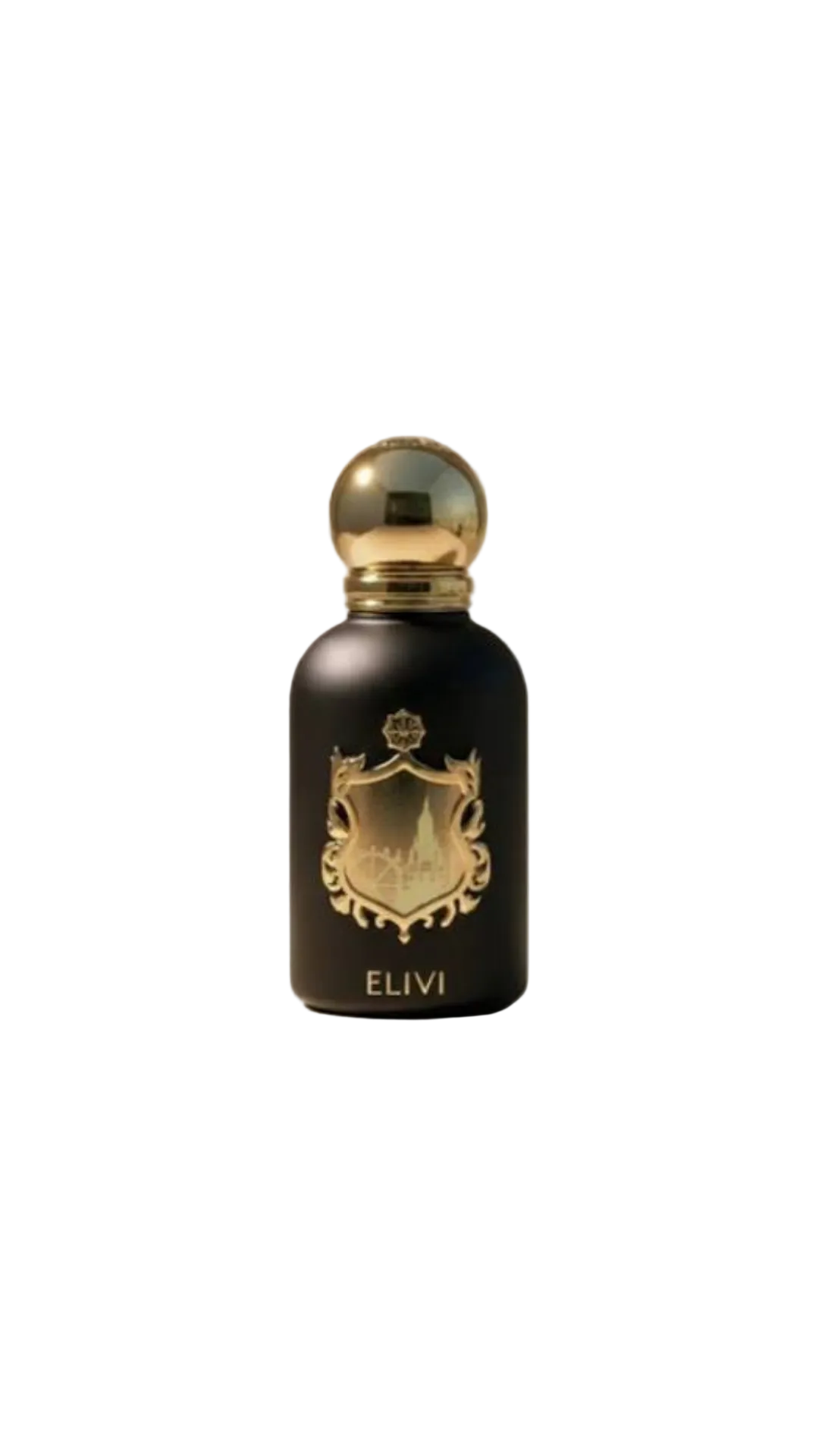 Elivi Ville De Geneve EDP