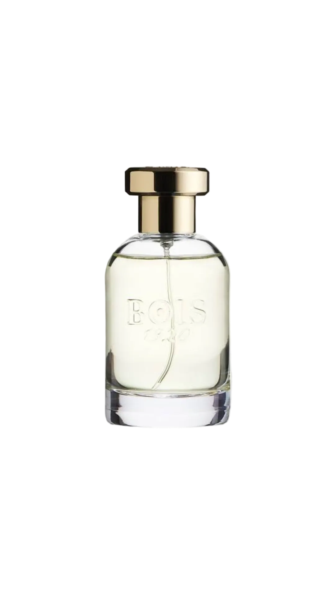 Bois 1920 Parana EDP